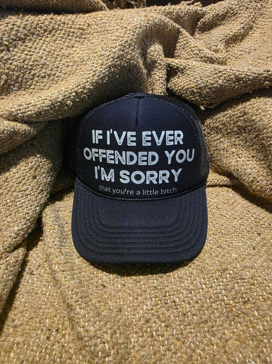 If I Ever Offended You